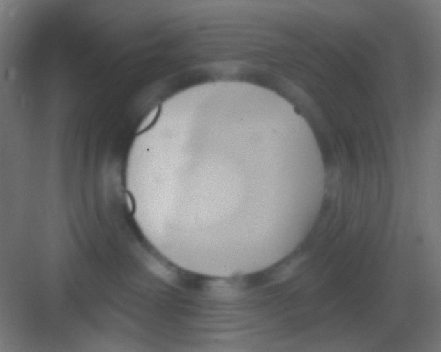 X0000081300238200702082052