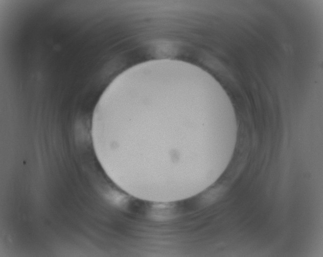 X0000081300240200702082052