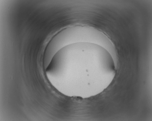 X0000081300241200702082051