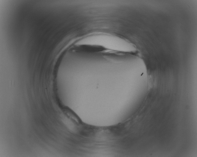 X0000081300243200702082051