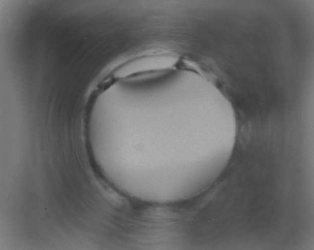 X0000081300244200702082051