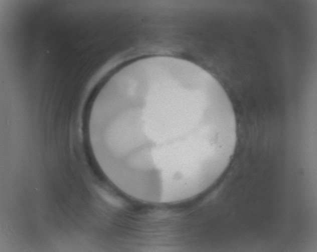 X0000081300246200702082052