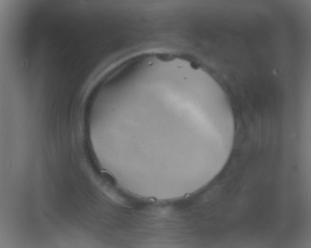 X0000081300247200702082052