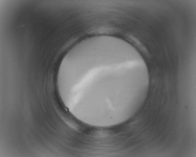 X0000081300250200702082052