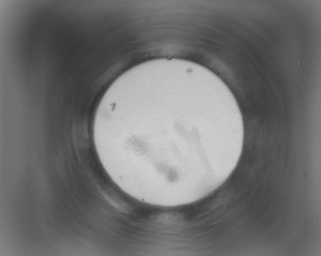 X0000081300251200702082052