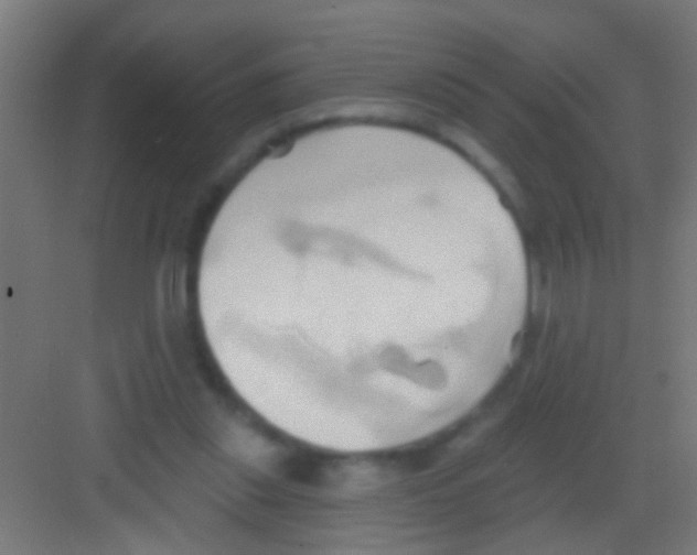 X0000081300253200702082052