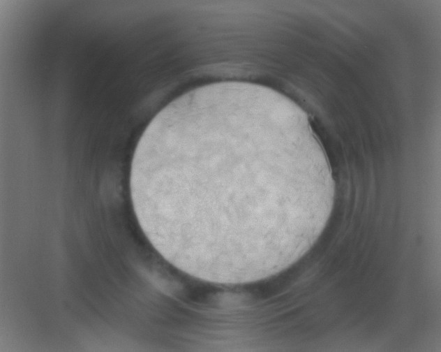 X0000081300255200702082052