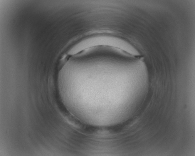 X0000081300256200702082052