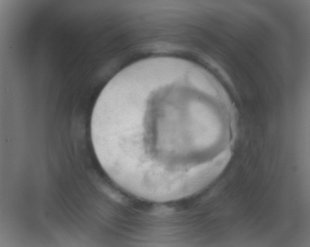 X0000081300257200702082052