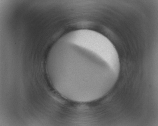 X0000081300258200702082052