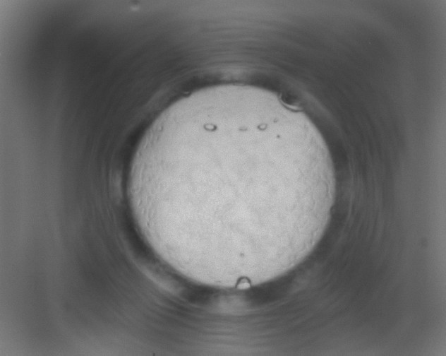 X0000081300262200702082052