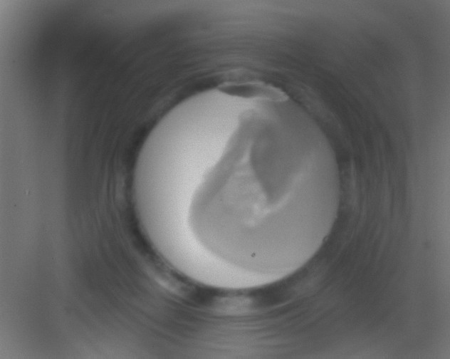 X0000081300266200702082052