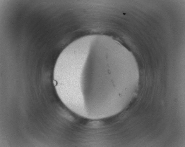 X0000081300269200702082052