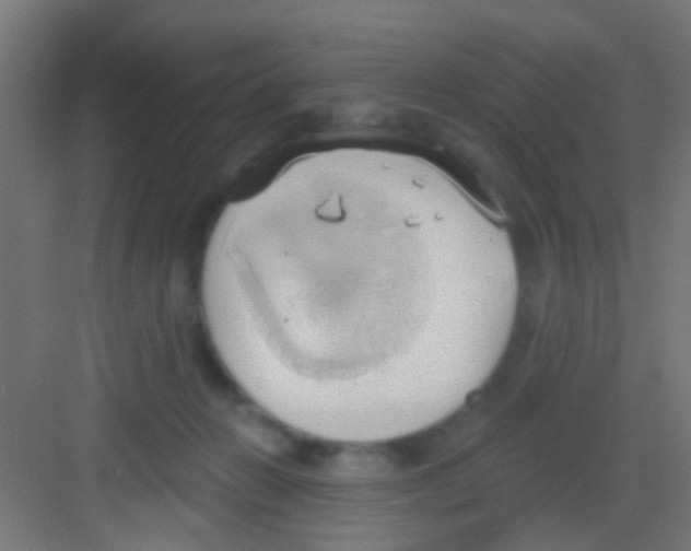 X0000081300270200702082052