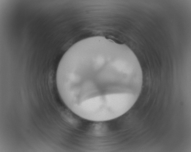 X0000081300275200702082052