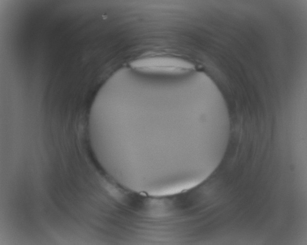 X0000081300277200702082052