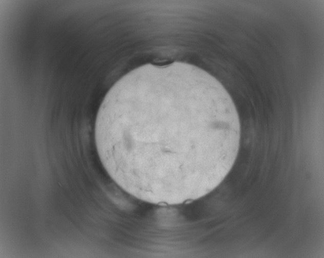 X0000081300279200702082052