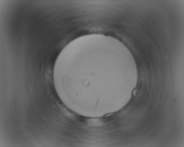 X0000081300281200702082052