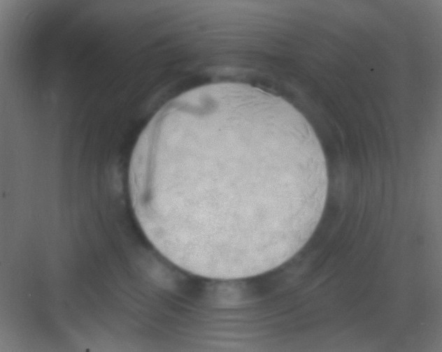 X0000081300282200702082052