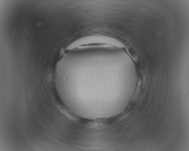 X0000081300284200702082052