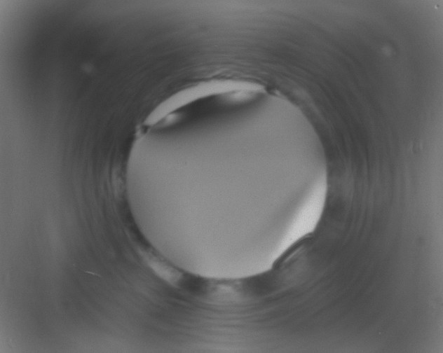 X0000081300285200702082052