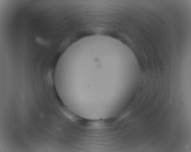 X0000081300286200702082052