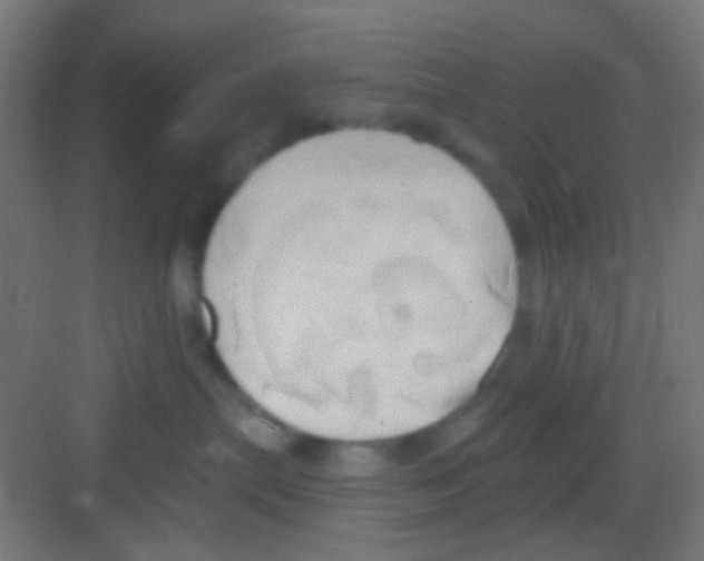 X0000081300287200702082052