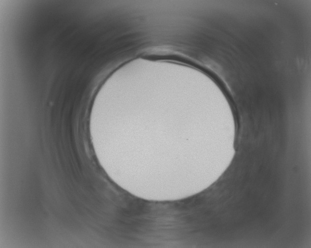 X0000081300289200702082051