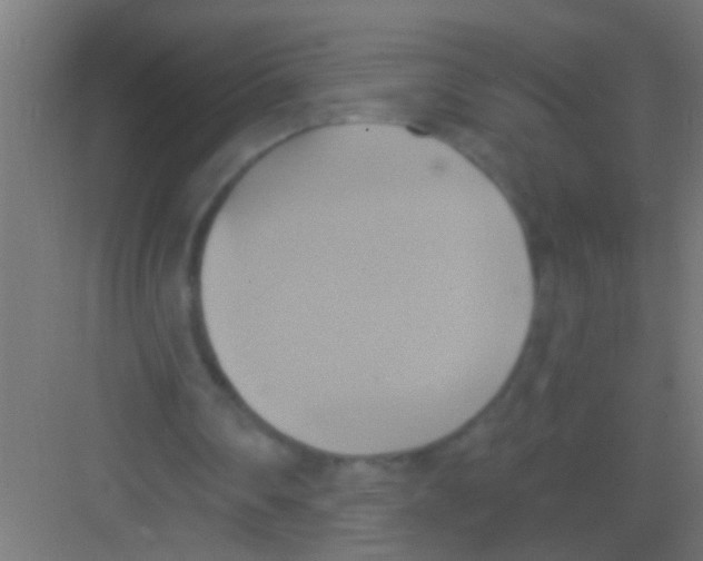 X0000081300290200702082051