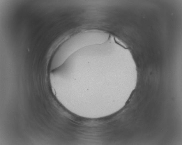 X0000081300293200702082051