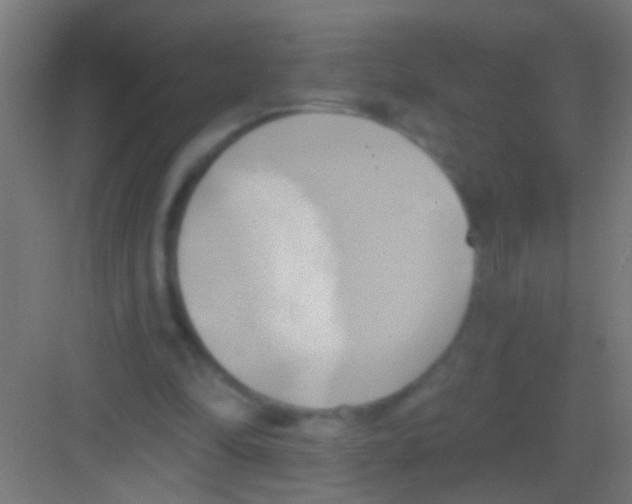 X0000081300294200702082051