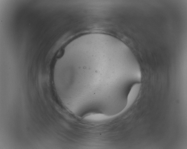 X0000081300295200702082051