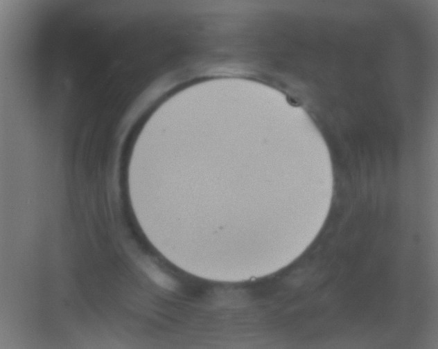 X0000081300296200702082051