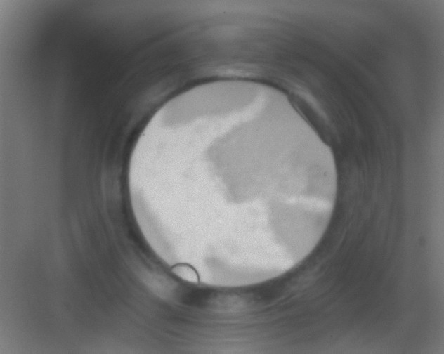 X0000081300299200702082051