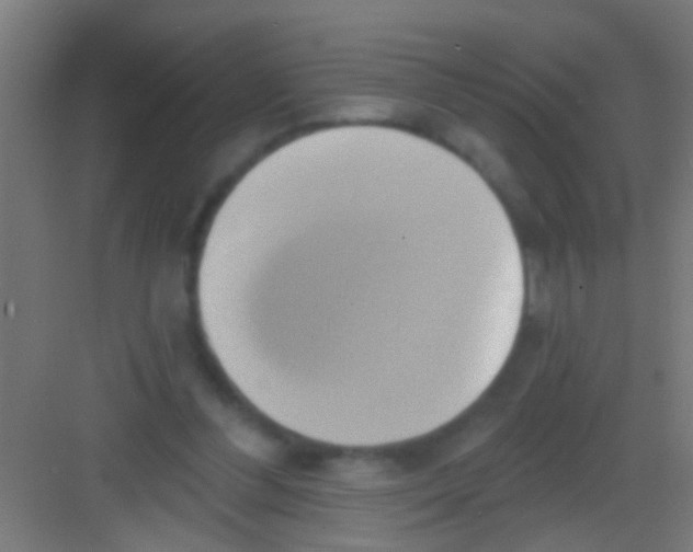 X0000081300300200702082051