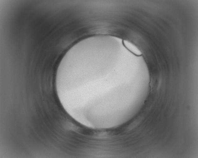 X0000081300301200702082051