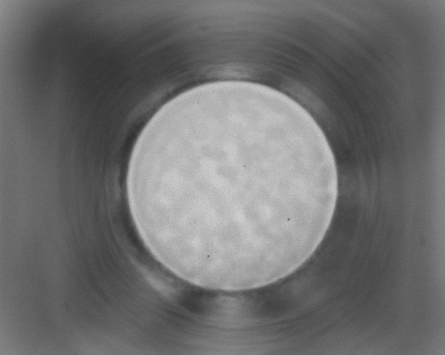 X0000081300302200702082051