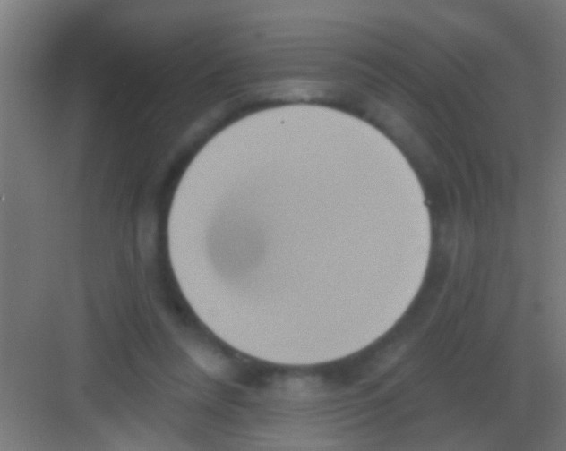 X0000081300304200702082051