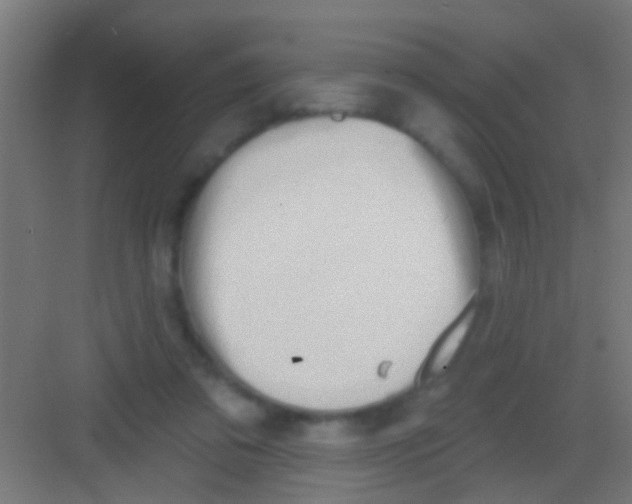 X0000081300309200702082051