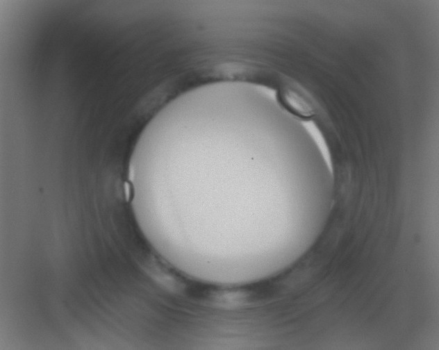 X0000081300313200702082051