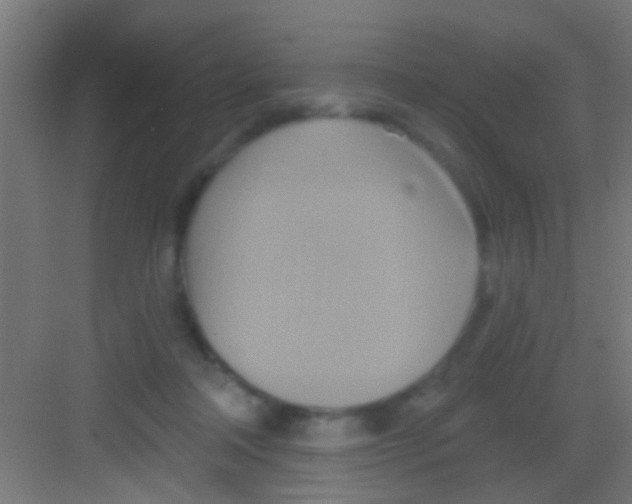 X0000081300314200702082051