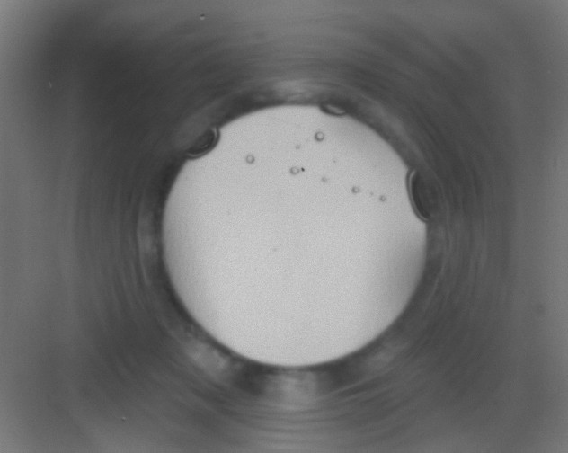 X0000081300317200702082051