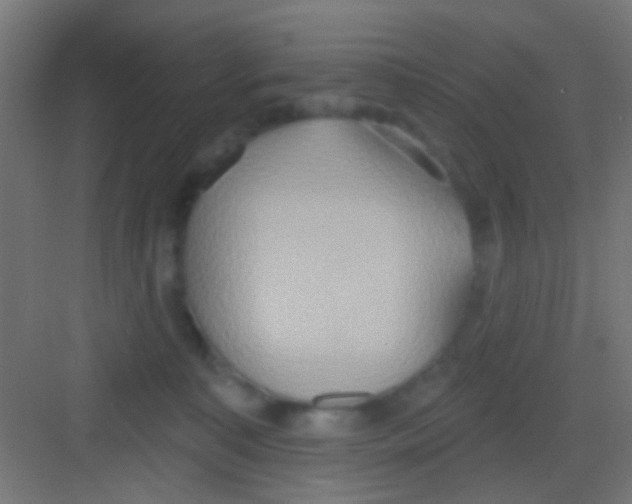 X0000081300323200702082051