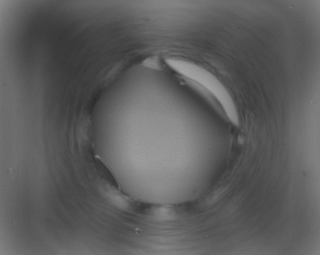 X0000081300325200702082051