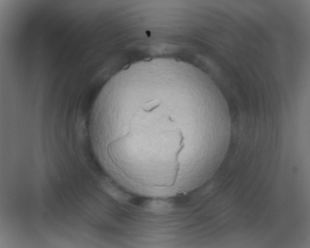 X0000081300327200702082051