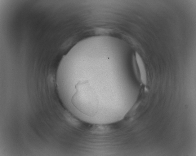 X0000081300329200702082051