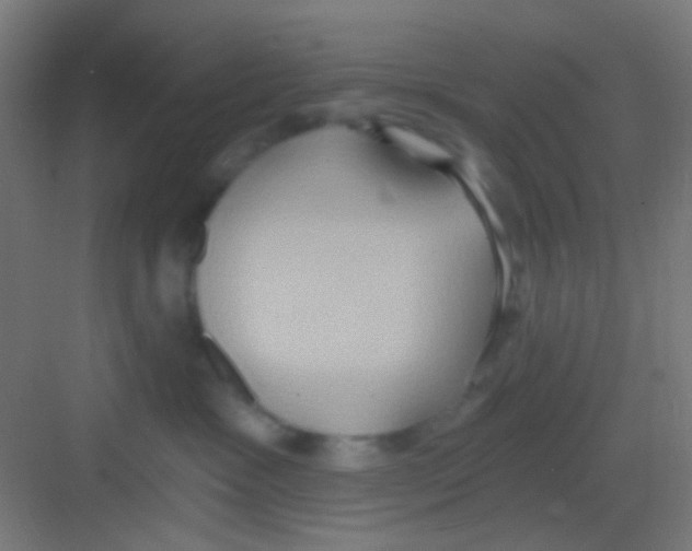 X0000081300333200702082051