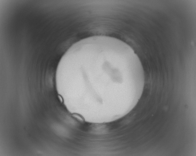 X0000081300334200702082051