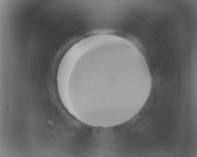 X0000081300337200702082050