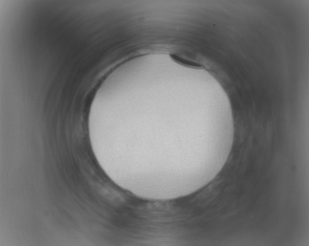 X0000081300338200702082050